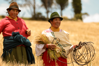 Cervecería tiene más de 12 años desarrollando vías que permitan a los pequeños agricultores ser proveedores de cebada, arroz y maíz.