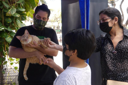 Asistencia. Diferentes familias acudieron a la jornada de adopción.