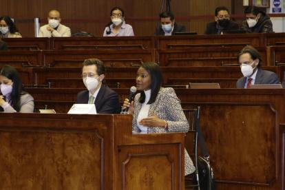 Fiscal. Diana Salazar señaló a jueces, quienes fallaron a favor de la empresa de los socios de Álex Saab.