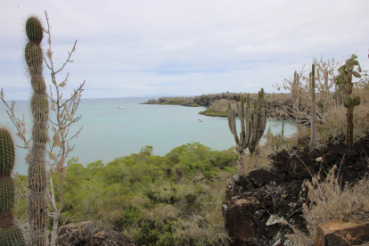 Fotografía de la bahía el 13 de noviembre de 2021 en la isla de Santa Cruz, en el archipiélago de Galápagos (Ecuador).