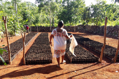 El Gobierno busca imponer una contribución temporal, sobre los patrimonios de personas naturales.