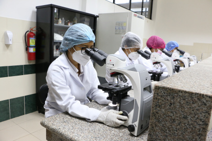 Los estudiantes realizan prácticas en los cuatro microscopios que tiene el laboratorio.
