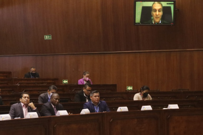 Cita. Desde EE. UU., José Serrano, exministro del Interior de Rafael Correa, compareció ante la Comisión de Fiscalización.