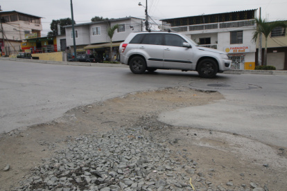VACHES EN LAS CALLES DE LA COOPERATIVA JUAN MONTALVO  PERIODISTA : JUAN DANIEL PONCE FECHA : 22/11/2021 Agencia (ag-extra)
