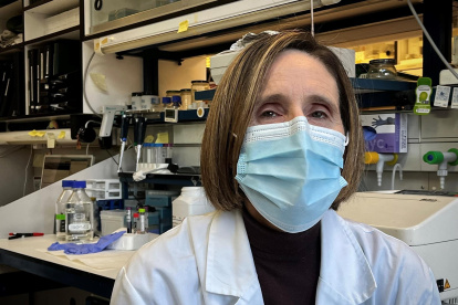 La investigadora Isabel Sola, codirectora del laboratorio de coronavirus del Centro Nacional de Biotecnología del CSIC, durante la entrevista mantenida con la Agencia Efe en Madrid.