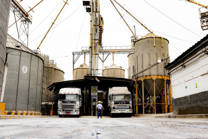 La industria esperaba la autorización para importar 200.000 toneladas para cubrir el faltante que tendría en marzo y abril.