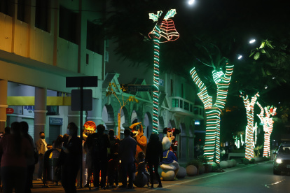 La calle. Postes y árboles, incluidos sus troncos y ramas, están llenos de luces.