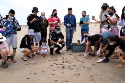 Especies.  Desde tortugas y peces, hasta lobos marinos viven en la reserva. Hay  meses en donde se registra incluso la llegada de piqueros azules.
