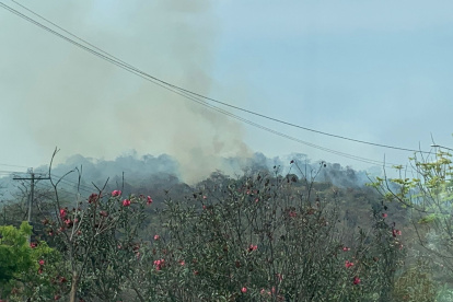 Siniestro. La columna de humo es visible desde ciudadelas aledañas.