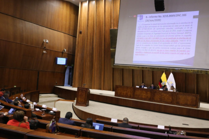 Control. Víctor Anchundia compareció de forma virtual a la Comisión de Fiscalización a finales de noviembre.