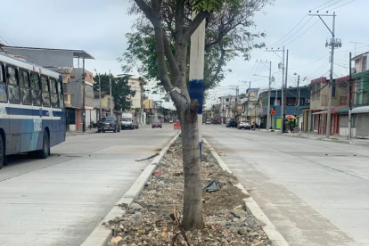 Continúan los trabajos en parterres de la zona