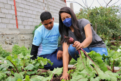 Iniciativa. En diferentes zonas de Guayaquil se han implementado los huertos.