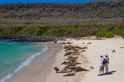 El archipiélago de Galápagos tiene buenas expectativas para el último feriado del año; sin embargo, aún recibe pocos turistas extranjeros.