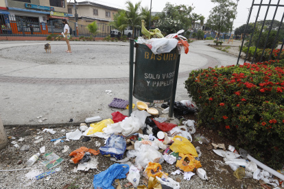 Mucho Lote 1. Hasta hace una semana, el parque lineal lucía así por la acumulación de basura que genera la aparición de moscas, roedores.
