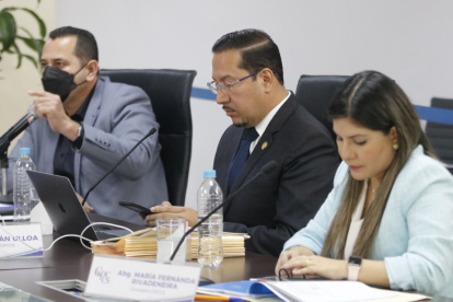 Postura. Los cuestionamientos provienen de los tres consejeros que conforman la minoría en Participación.