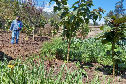 Campo.- El trabajo de los agricultores previo a la llegada de las lluvias.