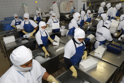 TRABAJADORES O EMPLEADOS EMPACANDO EL ATÚN |
Proceso de empaquetado de Atún Real EL 08 DE abril DEL 2016 Agencia (ag-expreso)