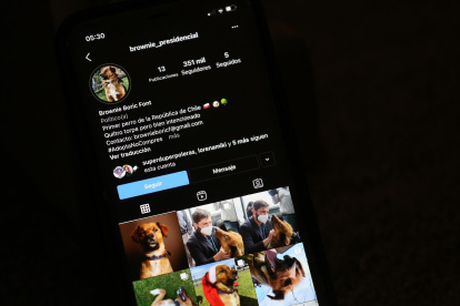 Fotografía hoy de la cuenta de Instagram de "Brownie", el perro del presidente electo de Chile, Gabriel Boric, este 30 de diciembre de 2021.
