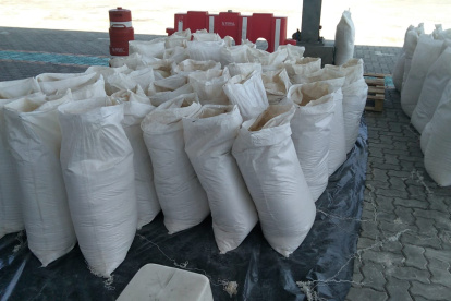 Droga. En el contenedor habían 33 bultos, que al ser revisados contenían más de 800 bloques tipo ladrillo.