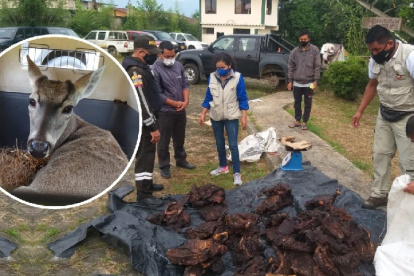 El consumo de carne silvestre es un delito sancionado en Ecuador.