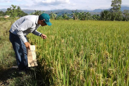 El primer sector en beneficiarse de los préstamos será el agrícola.