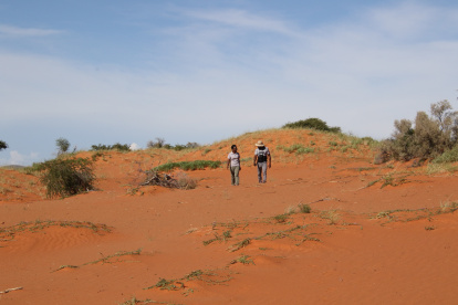 Los científicos Keafon Jumbam (izq.) y Olufemi Olubodun, caminan en la arena roja de la Reserva Natural de Tswalu, en el desierto del Kalahari.