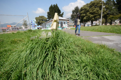 Descuido. En el barrio de Santa Ana, en el sur, un parque luce con la hierba crecida. Las bancas para tomar el sol casi no se distinguen entre la vegetación.