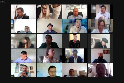 Sesión. Este proyecto de ley fue debatido por 23 legisladores la tarde del 6 de enero vía telemática.