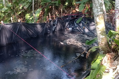 La piscina se realizó con plástico negro en medio de la selva.