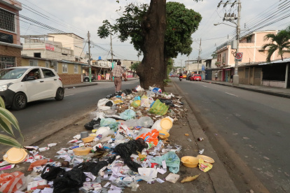 Así lucen los árboles de la zona