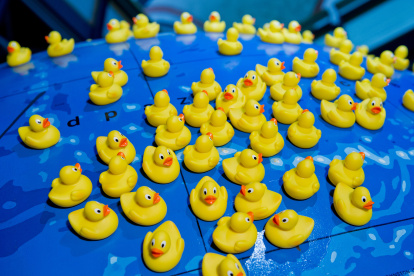 Unos 200 patos amarillos de goma en el Museo Marítimo de Stralsund, en el norte de Alemania, son parte de la carga rescatada del accidente de un barco portacontenedores naufragado en 1992, cuya localización permitió sacar nuevas conclusiones sobre las corrientes marinas. Foto: Stefan Sauer/dpa