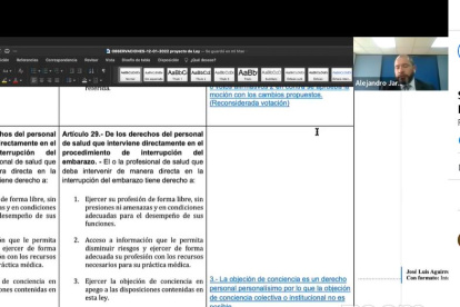 La comisión volvió a sesionar ayer de manera virtual y debatió artículo por artículo.