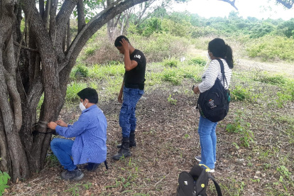 Momentos en que se procedía a colocar cámaras en Bosque Proyector Bosqueira.
