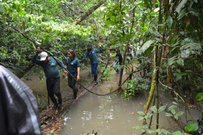 Rutina. Un grupo de los brigadistas que recorre la selva en tareas de vigilancia vuelve al pueblo tras cumplir una jornada de labores.