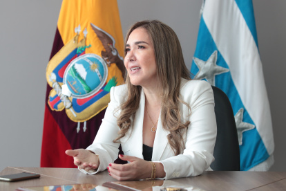 Gallardo también fue fiscal en Guayas de varias unidades como delitos contra la propiedad, de delitos financieros y lavado de activos, de antinarcóticos, y de delincuencia organizada y crimen transnacional.