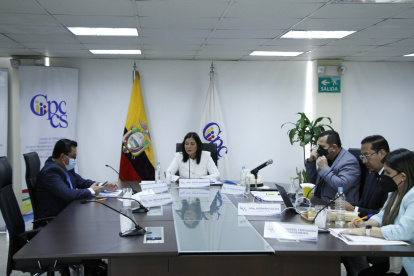 Pleno. El Consejo aún no tiene el reglamento para la designación del Superintendente de Compañías.