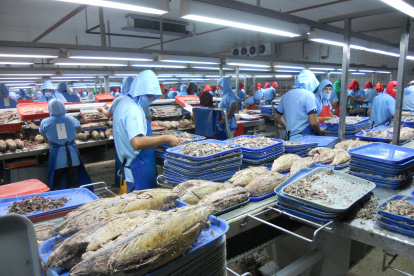 Ventas. El sector de enlatados de atún también tuvo un buen desempeño.