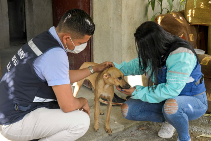 El momento en el que el animal es rescatado en Lomas de la Florida.