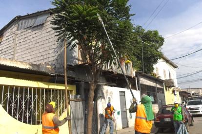 Trabajos. Personal del Municipio se encargó de la limpieza del lugar.