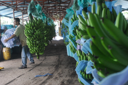 Pese al mal año en exportaciones, la producción se incrementó en 2021.