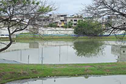 La planta. La queja de la ciudadanía proviene de esta laguna desde hace algunos años, la de Guayacanes Samanes, en el sector de El Limonal.