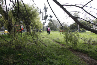 El Cabildo capitalino dispuso la contratación de 66 guardias de seguridad para los parques de la ciudad.