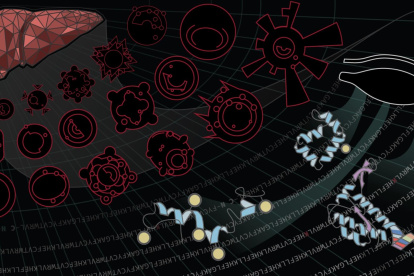 El Blood Proteoform Atlas (BPA), un catálogo que describe cerca de 56.000 proteoformas identificadas a partir de 21 tipos de células humanas y plasma.