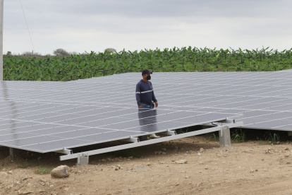 En la finca Don Polo, ubicada en Chanduy, Santa Elena, se instalaron 780 paneles solares. El ahorro de energía eléctrica en esta hacienda es de $ 5.000 al mes.