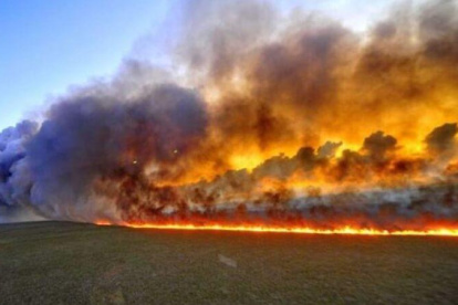 Los incendios forestales afectan gravemente al llamado pulmón del planeta.
