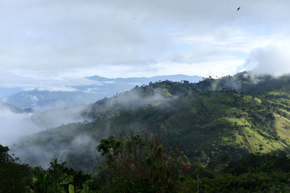 Protección. En julio de 2018, la Unesco declaró al Chocó Andino como la séptima Reserva de Biósfera en el mundo.