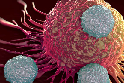 Cada día los investigadores hallan nuevas formas de combatir el cáncer, la segunda causa de muerte en el mundo.