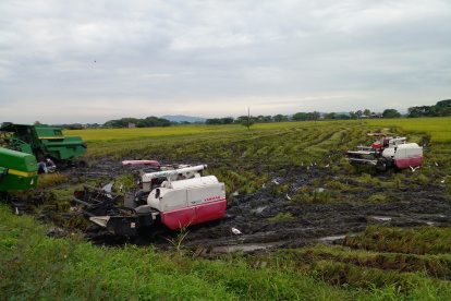 Trabajo Un grupo de maquinarias trabaja en un cultivo de arroz, en Santa Lucía, es la tecnología que los pequeños agricultores necesitan para que sus cultivos sean más productivos.