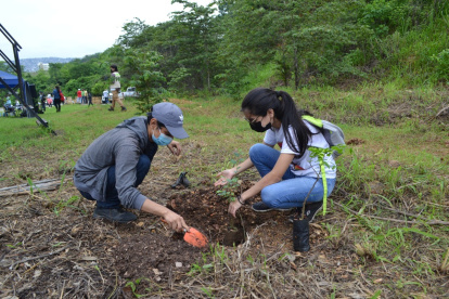 Estudiantes participaron en la siembra de árboles en el Cerro Protector El Pariso.