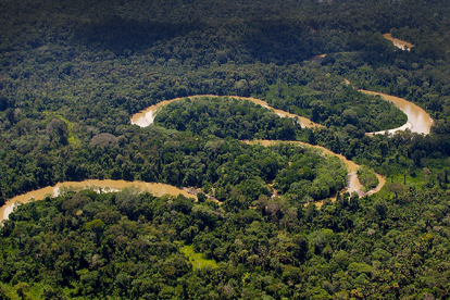 Con la Ayuda de organismos de Noruega se busca proteger los bosques amazónicos ecuatorianos.